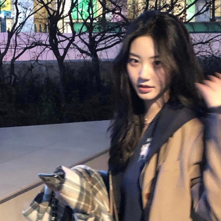 圣诞王子：皇家婚礼