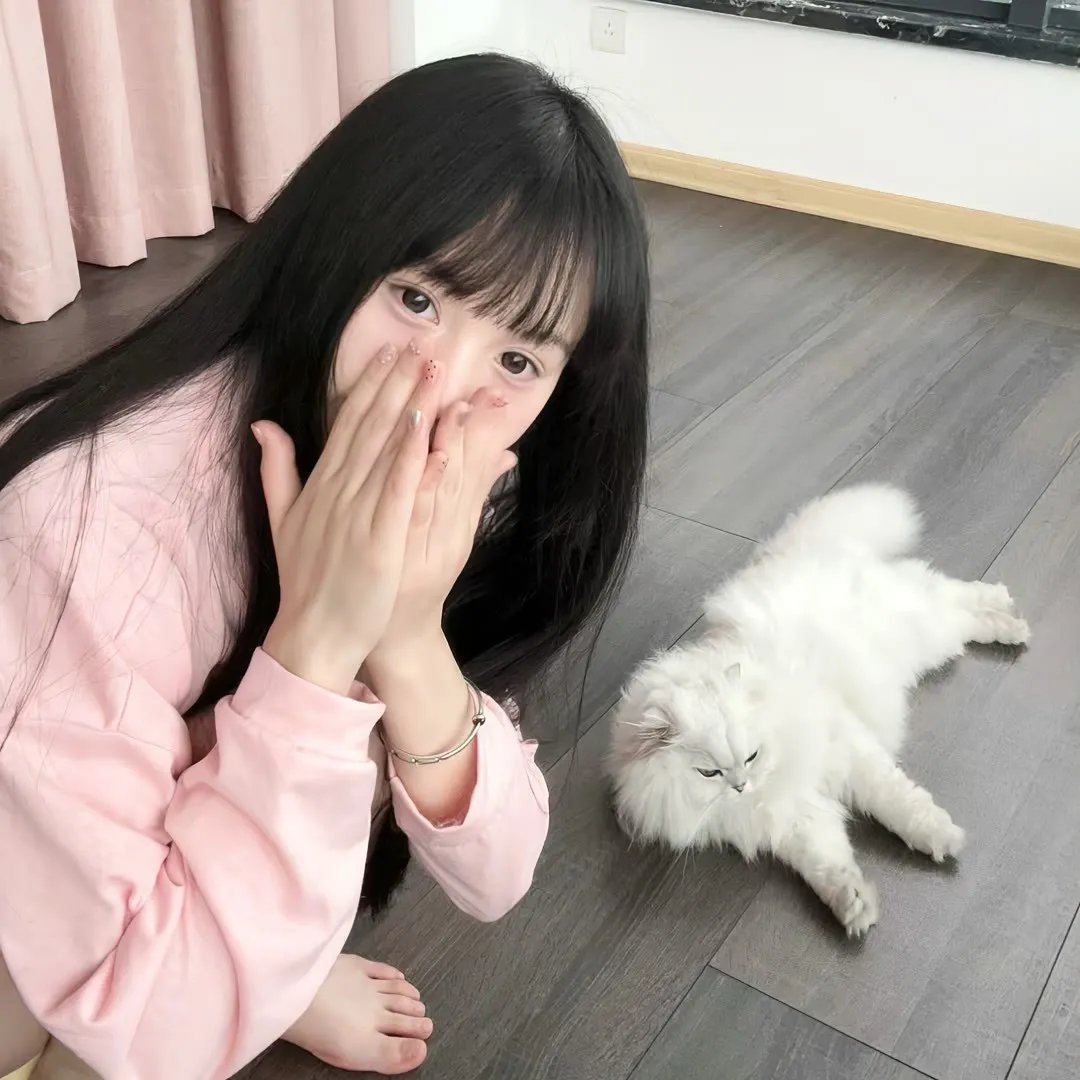 万花嬉春